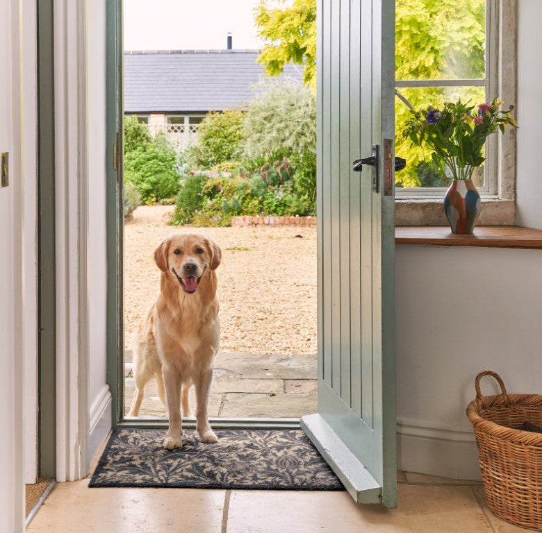 Golden retriever standing on Turtle Mats Thistle Design indoor Mat at an open door entrance