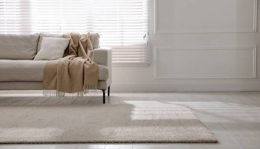Modern Rugs