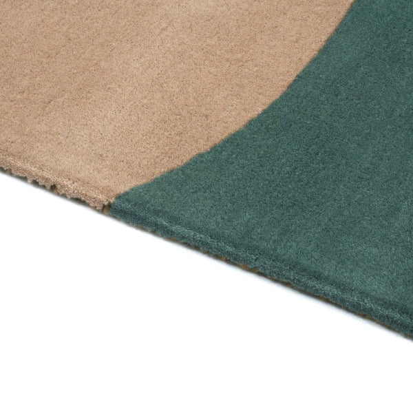 Close-up of a green and brown carpet border on a white background