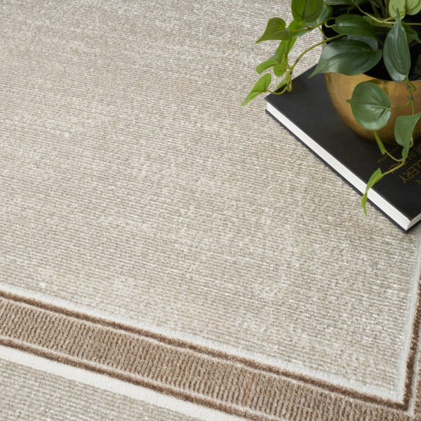 Textured beige rug with a brown border, a book, and a plant on a light gray background.