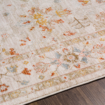 Avant Garde Turkish Rugs