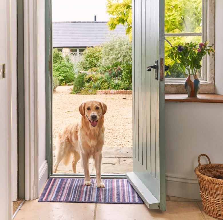 Turtle Mat Stripe Pattern Floor Mat in Front of Open Door with Golden Retriever Dog